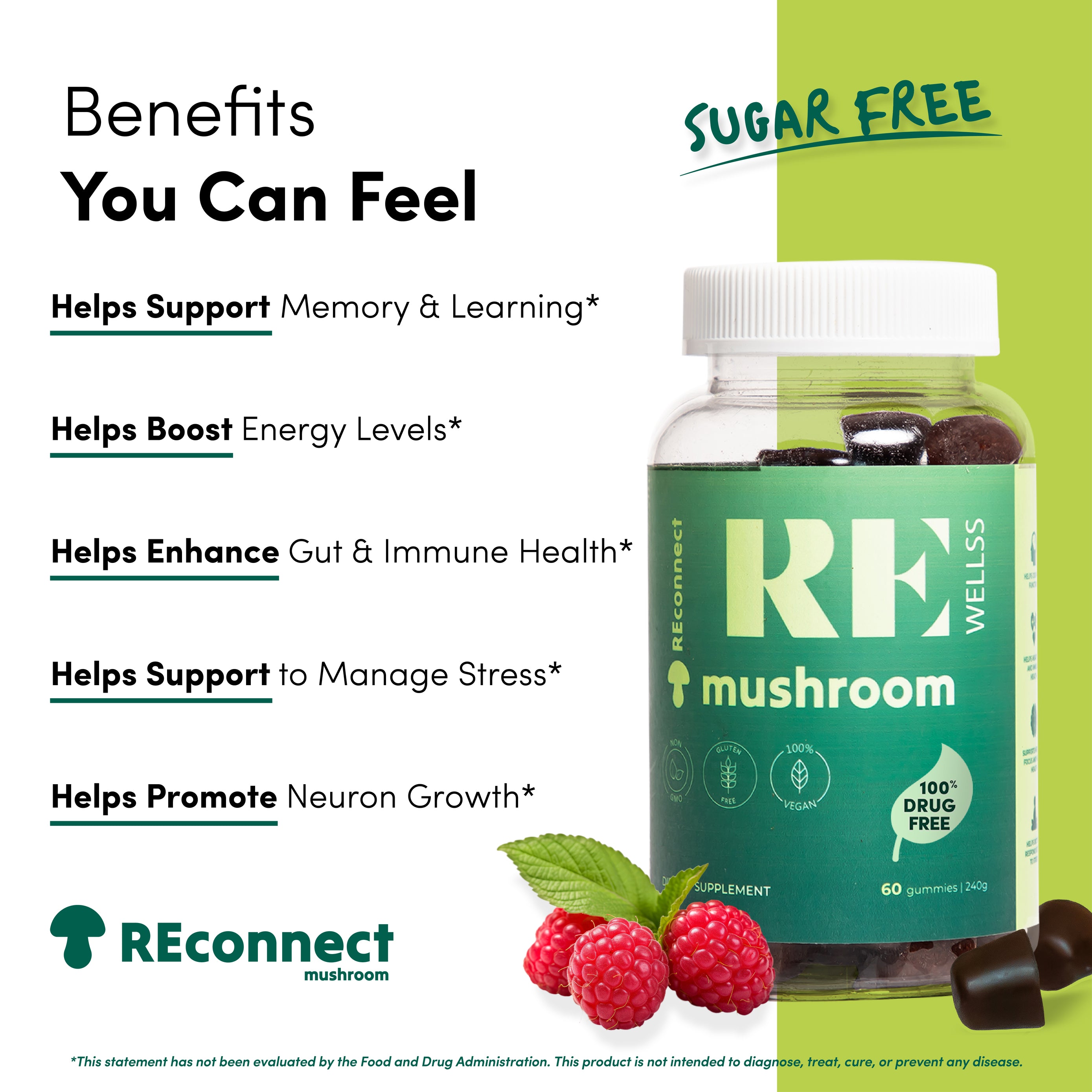 Mushroom Gummies, Your Focus Partner and Energy Booster!